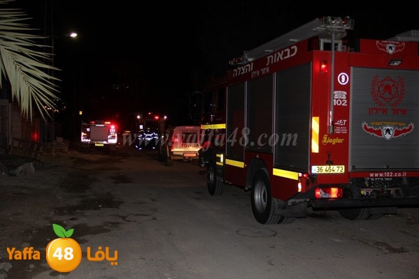 fire tomashin 0129 (17).JPG